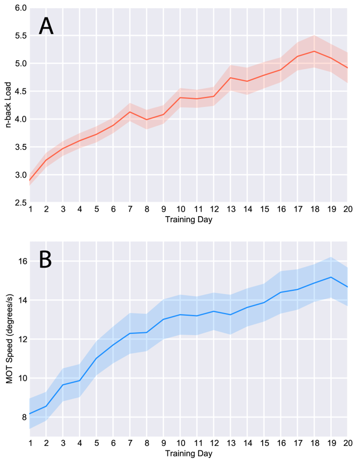 Les résultats des tests de QI peuvent être améliorés par l'entraînement de la mémoire de travail